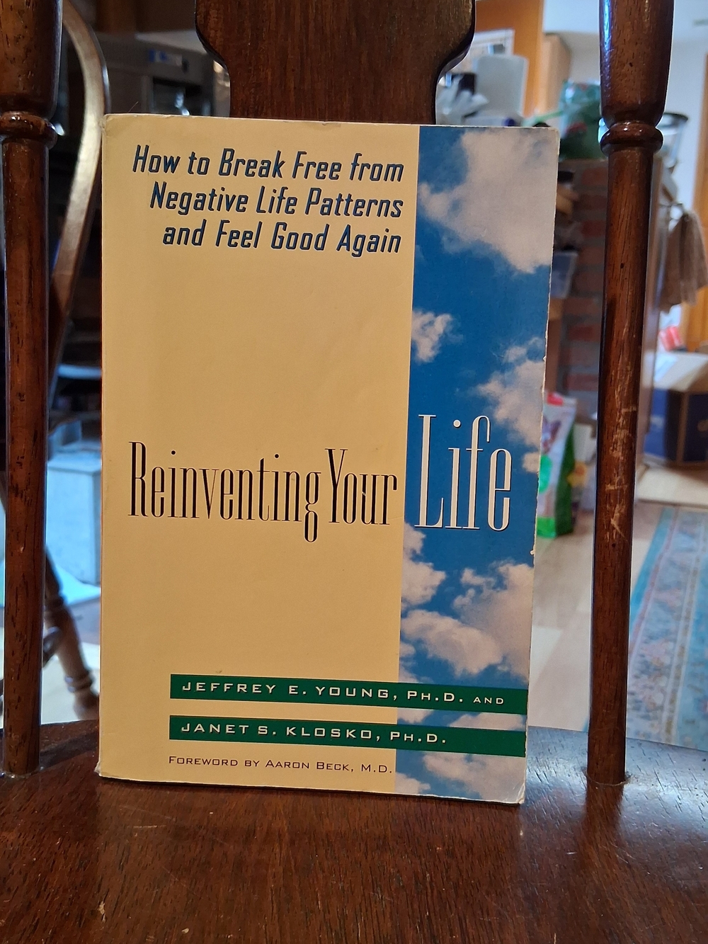 Reinventing Your Life by Jeffrey E. Young, Ph.D. - Beige & Sky Blue Cover